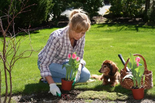 Visitor requesting accessibility help for tree surgery information