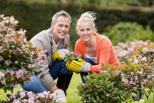 Local tree pruning service in Westminster for a courtyard or commercial property